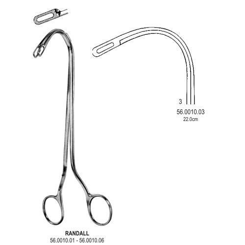 Gall Bladder